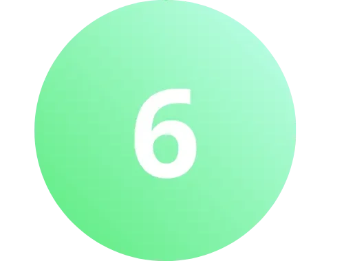 6
